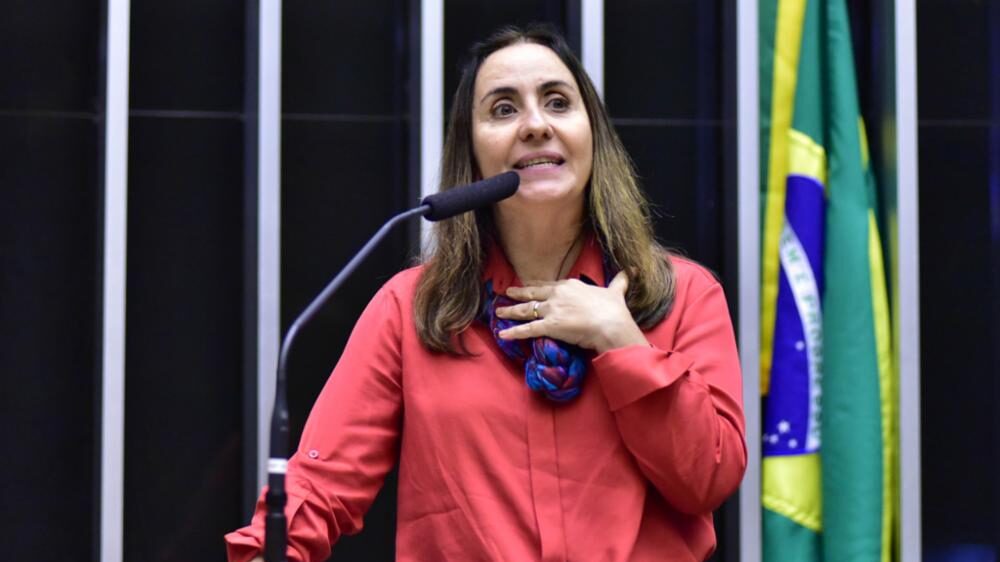 Discussão e votação de propostas. Dep. Adriana Ventura (NOVO-SP)