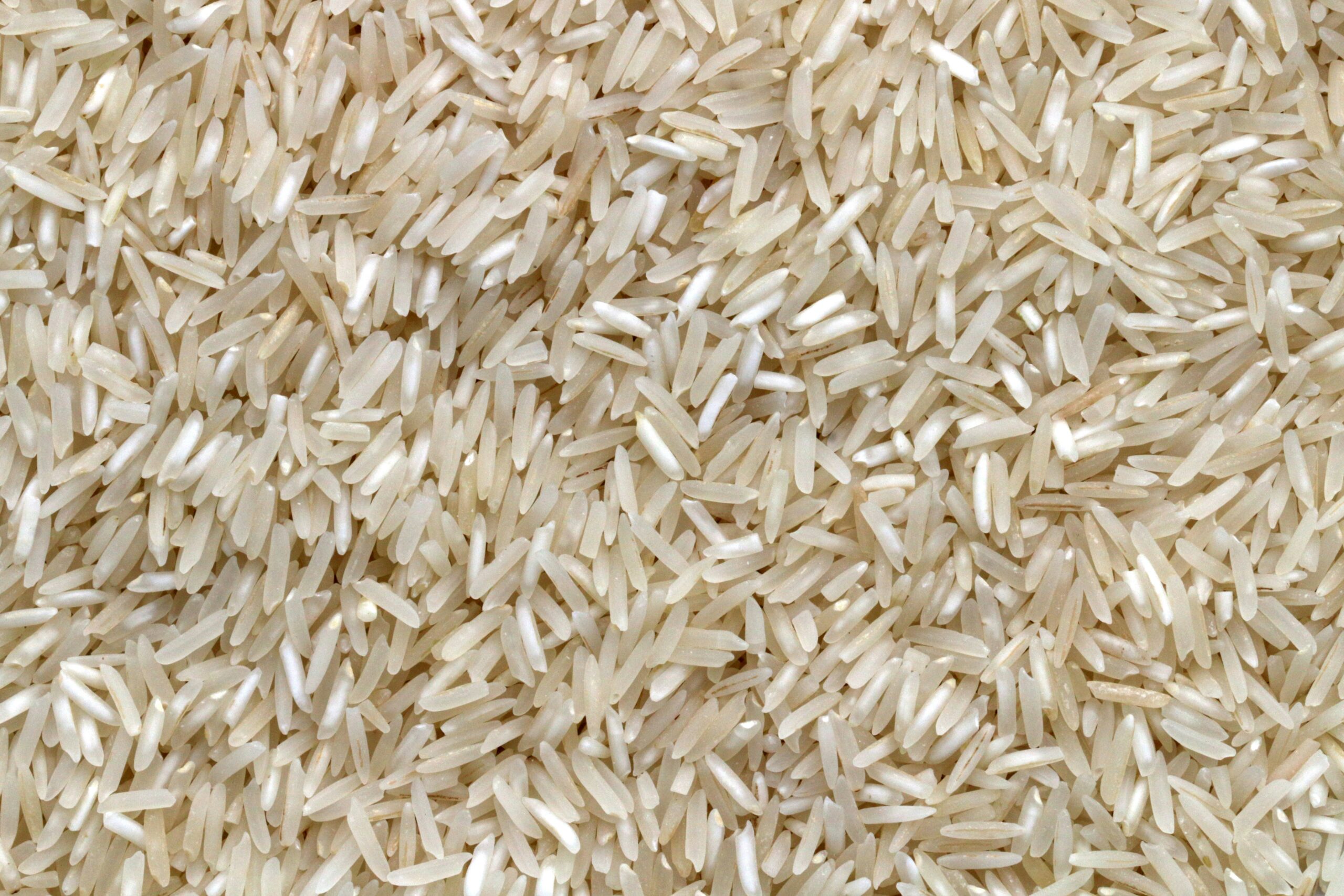 Arroz Lula