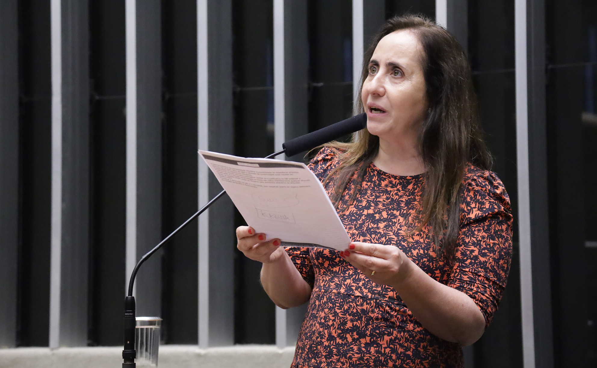 Adriana Ventura defende mais fiscalização em SP